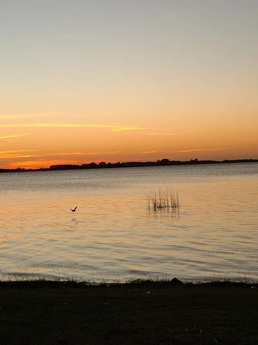 El sol bajo sobre la laguna.