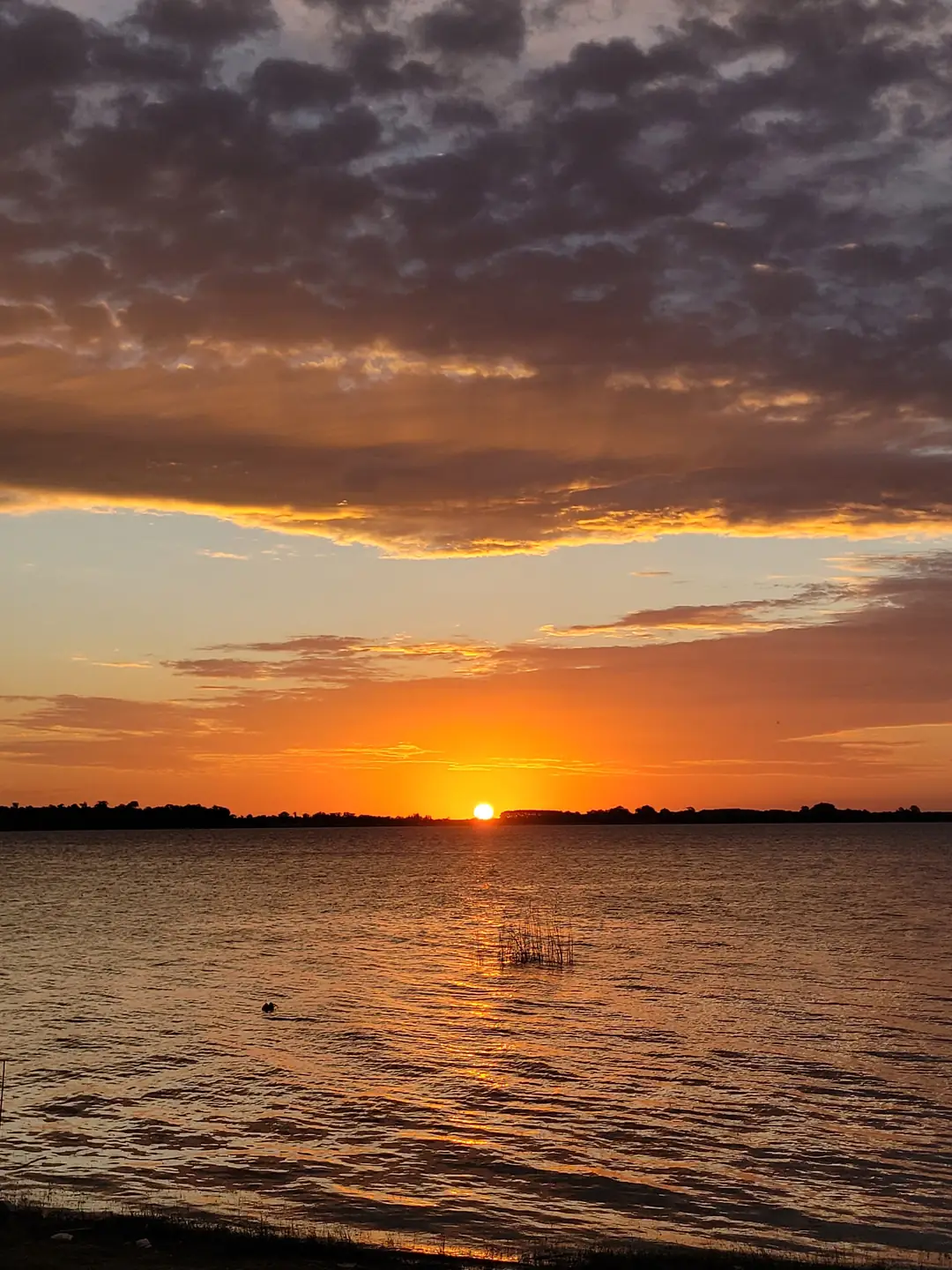 El muelle al atardecer.