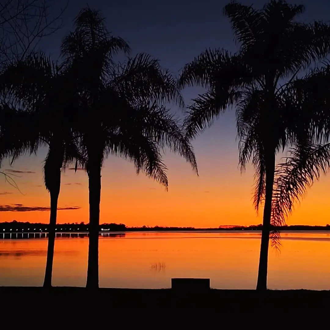 El atardecer entre las palmeras.