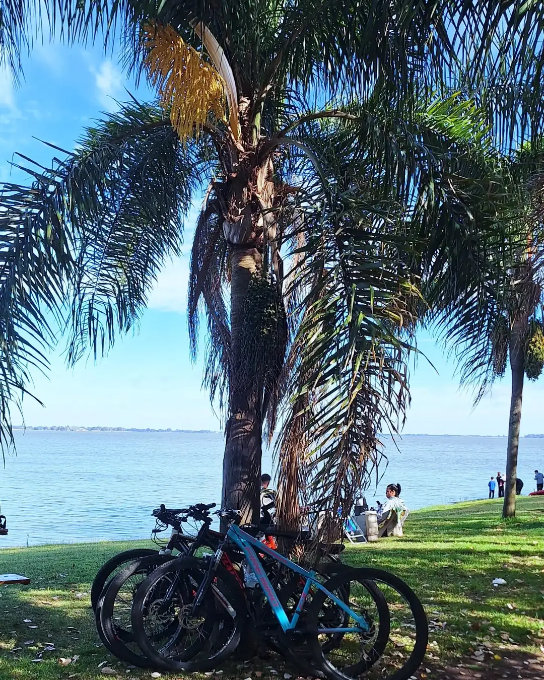 Bicis frente a la laguna.