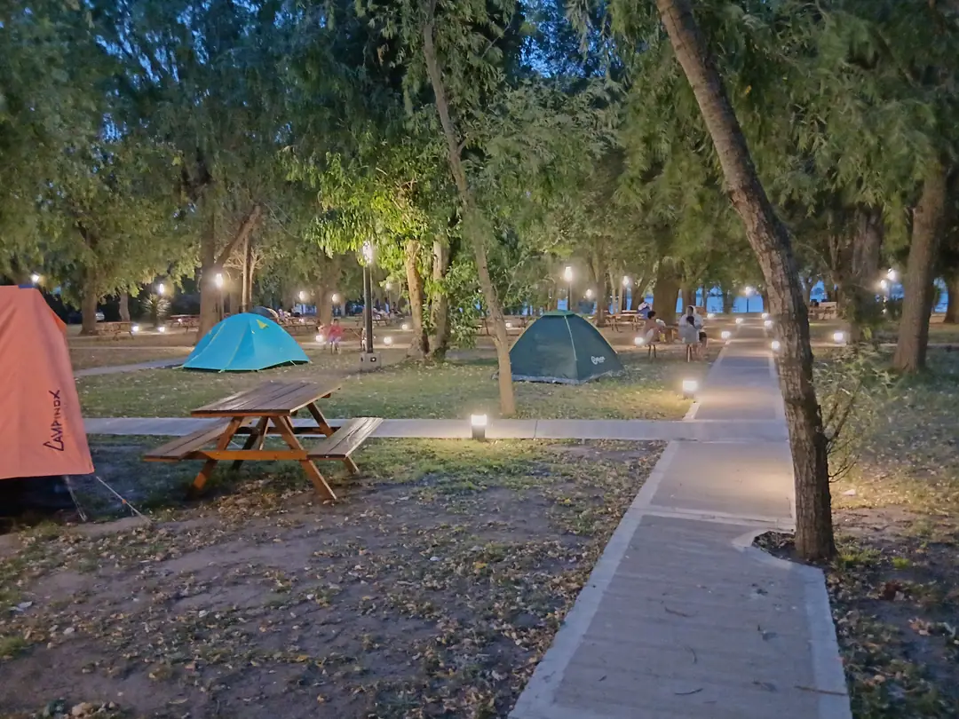 Carpas, mesas de madera y senderos iluminados entre los árboles al caer la tarde.