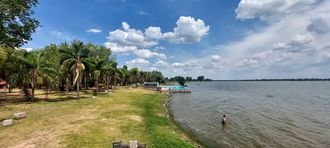 La costa del complejo: pasto, una fila de palmeras y la laguna de Chascomús con el cielo despejado.