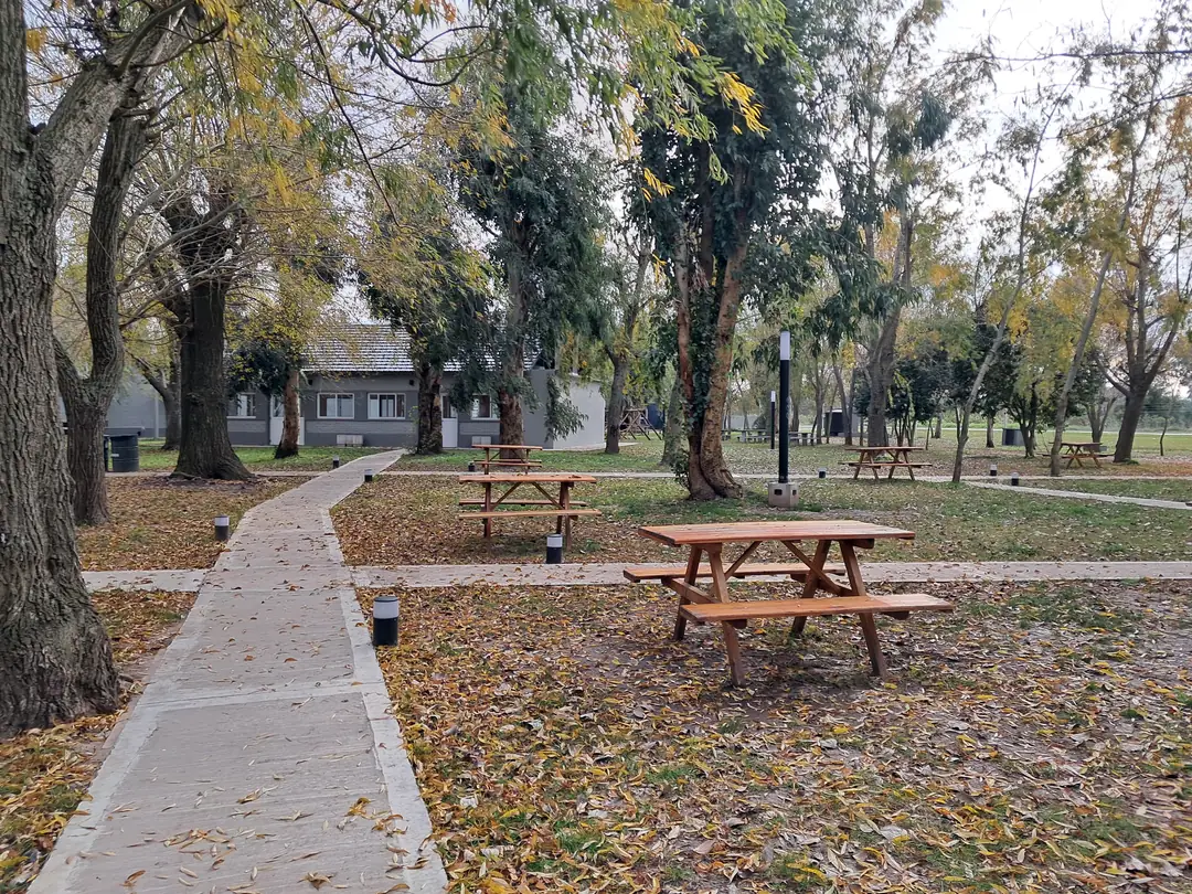 Un sendero entre mesas de madera y árboles de otoño en el complejo.