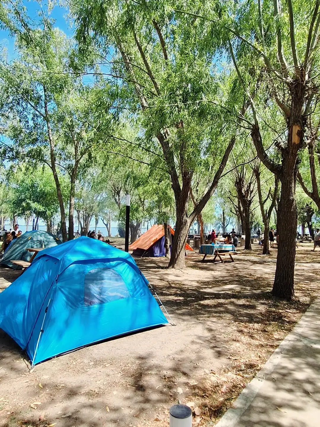 Una carpa azul bajo los árboles.