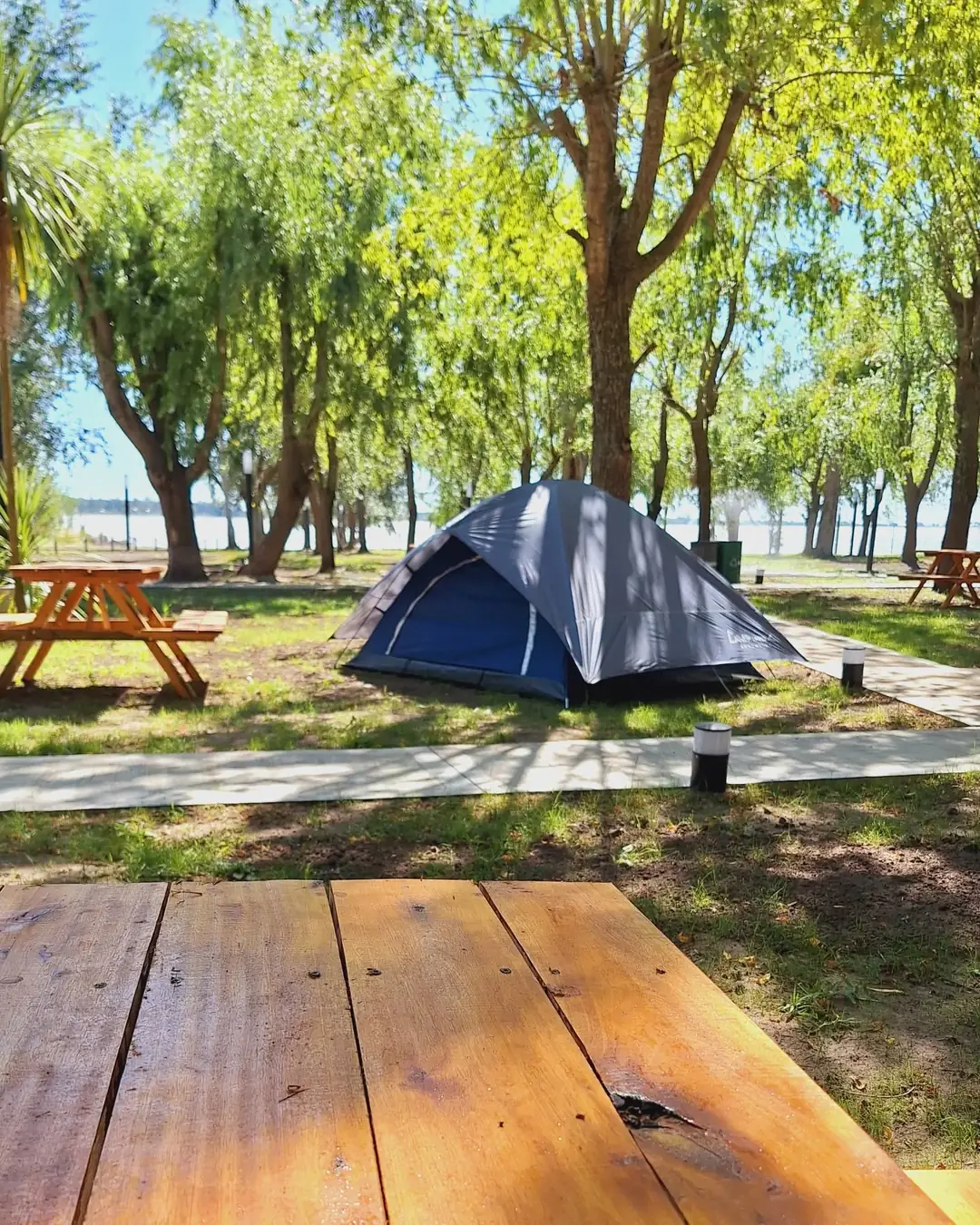 Una carpa azul con su mesa, bajo los sauces.