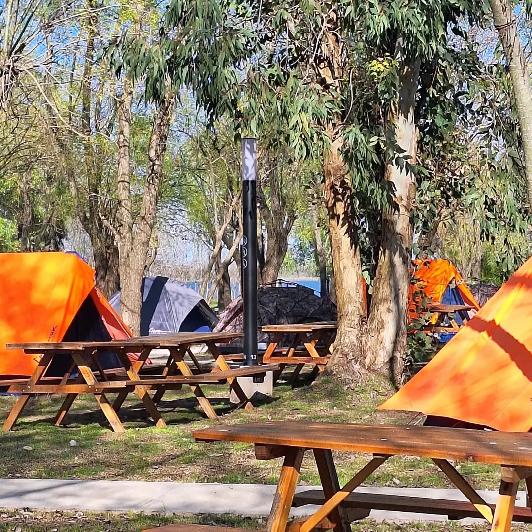 Carpas naranjas y mesas de madera entre los árboles.