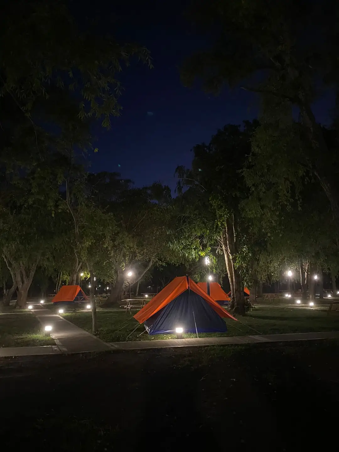 Una carpa con luz, de noche.