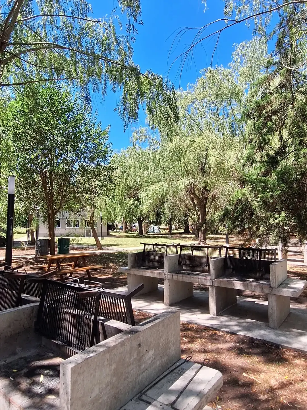 Mesas y parrillas bajo los árboles, frente a la laguna.