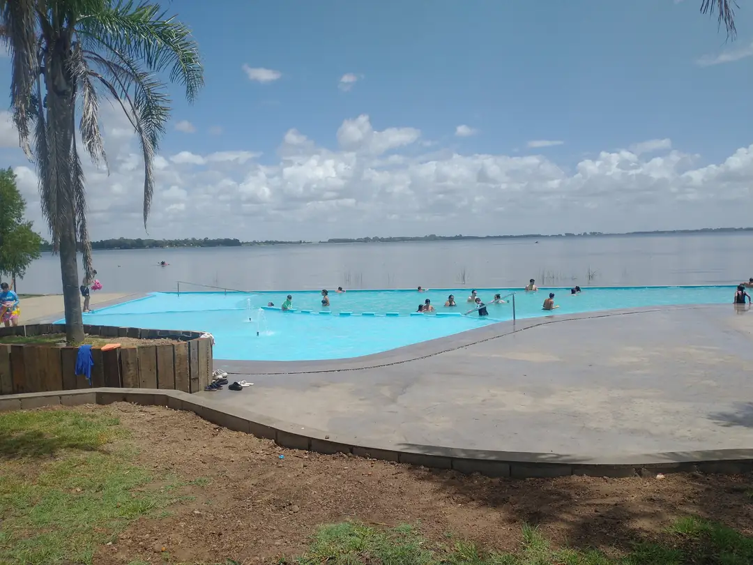 La pileta entre palmeras.
